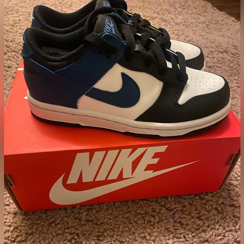 Nike Dunks Low no box